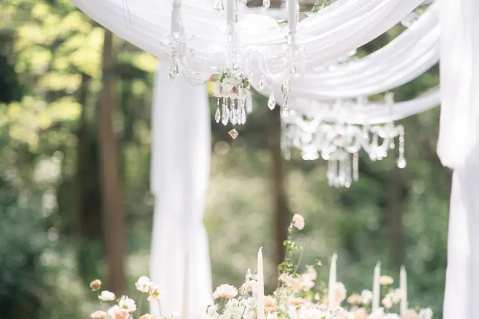 Agence Sorella — photo 2