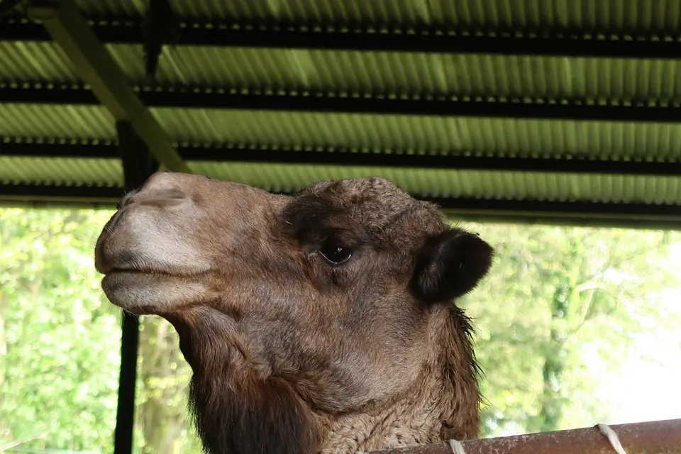 Philipponneau Olivier — photo 1