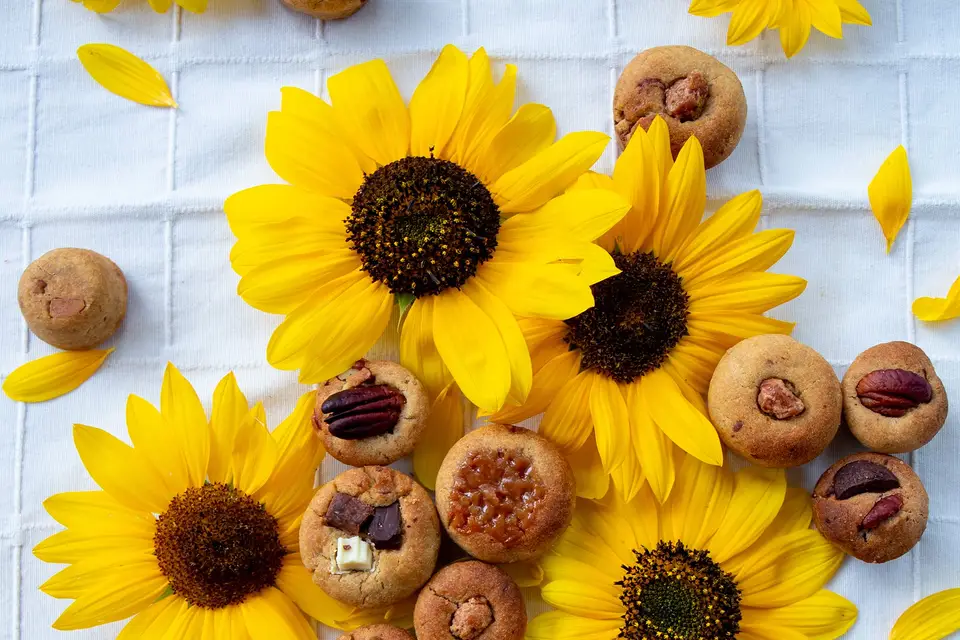 Les Muffkies de Lili — photo 3