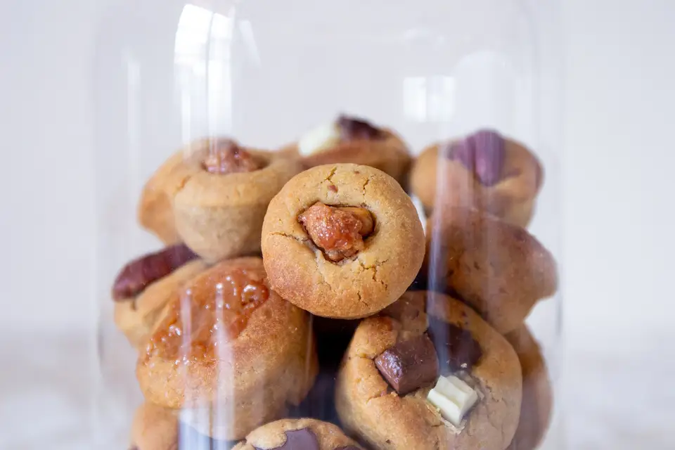 Les Muffkies de Lili — photo 2