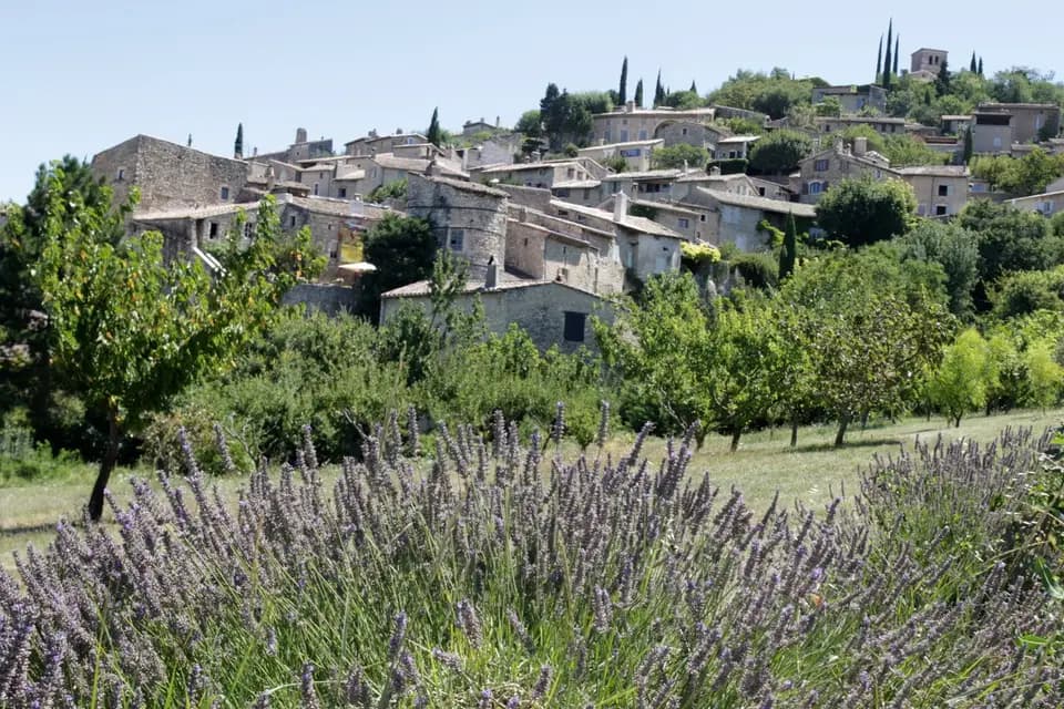 Domaine de la Petite Véronne — photo 3