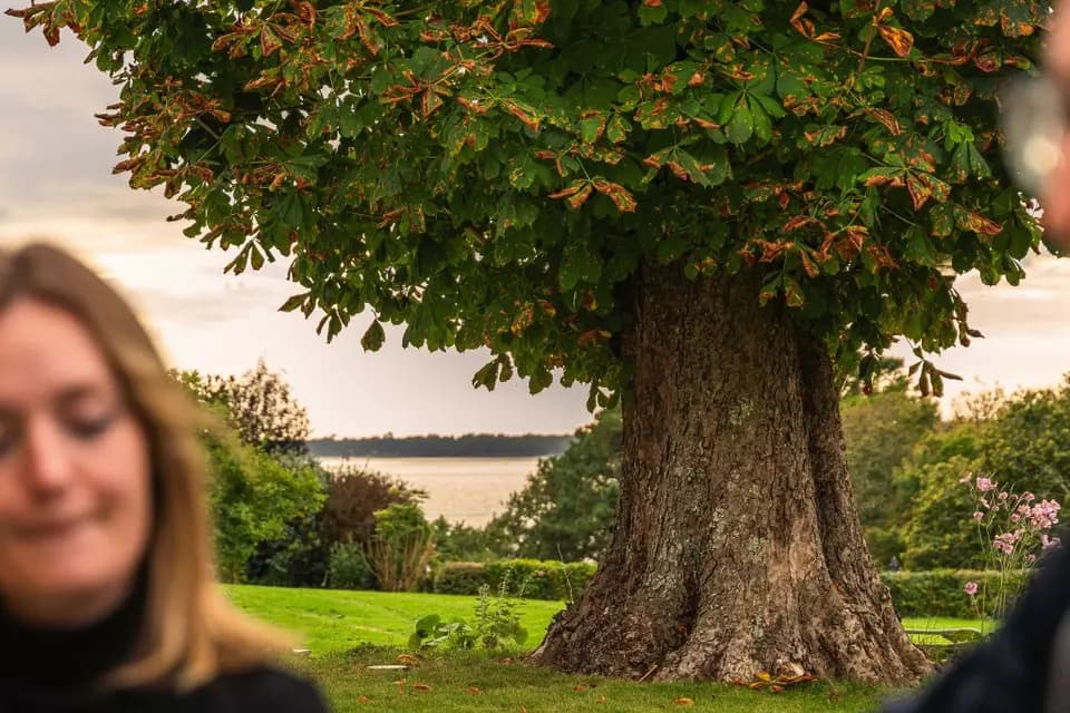 Domaine de Stang Bihan — photo 6