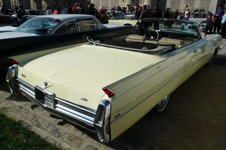 Car et vip — photo 3