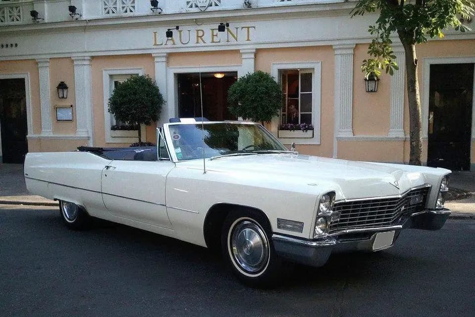 Car et vip — photo 4