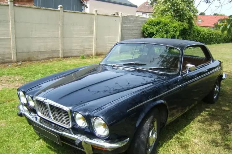 Car et vip — photo 5