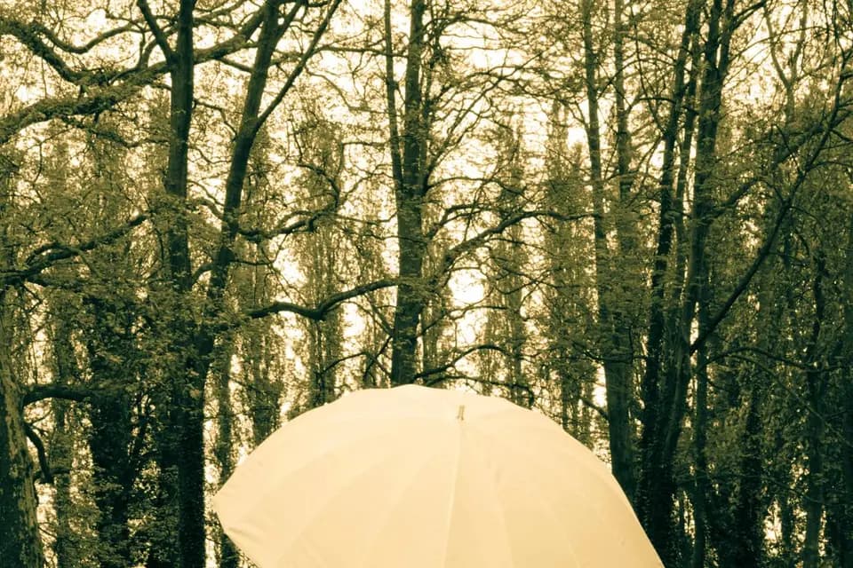 JB Création — photo 2