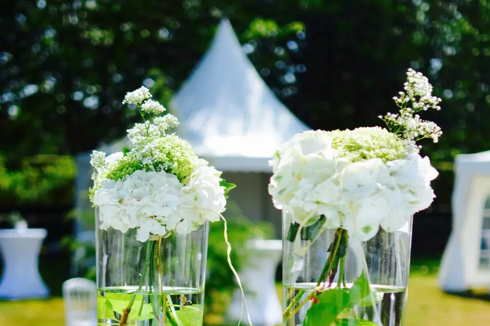 Apara Décors — photo 5