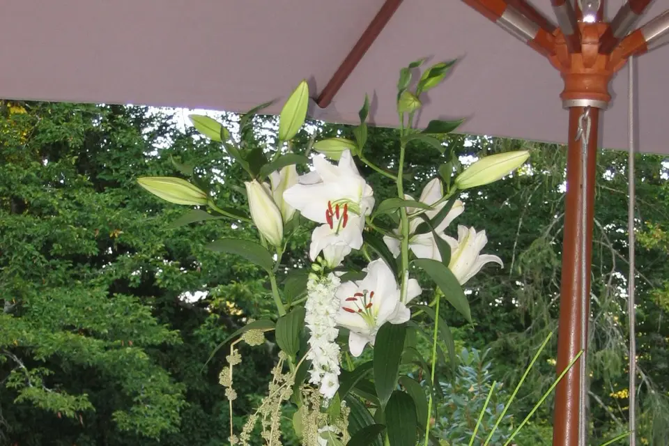 Par Fleurs et Par Vaulx — photo 1