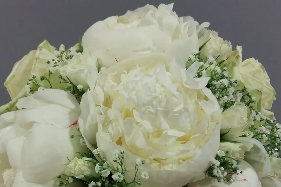 Mille et une fleurs — photo 1