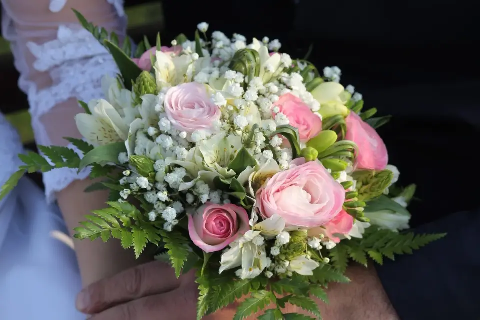 SF Vidéo — photo 5