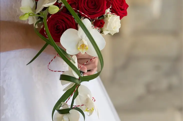 Mille et une fleurs — photo 6