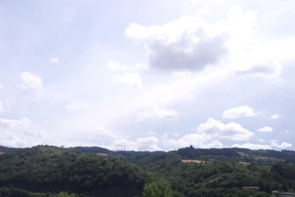 Le Catalpa — photo 2