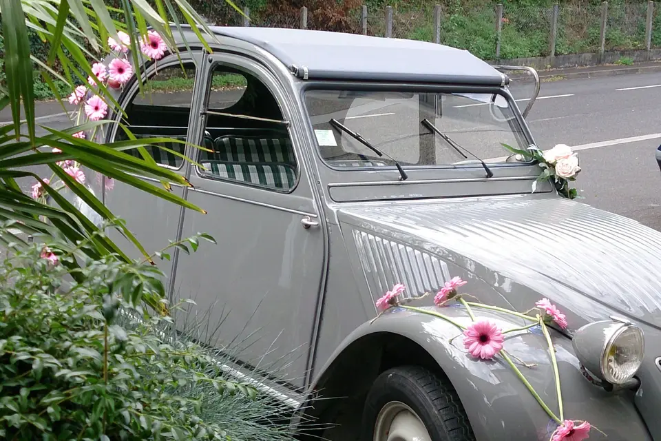 Ambiance Créative — photo 1