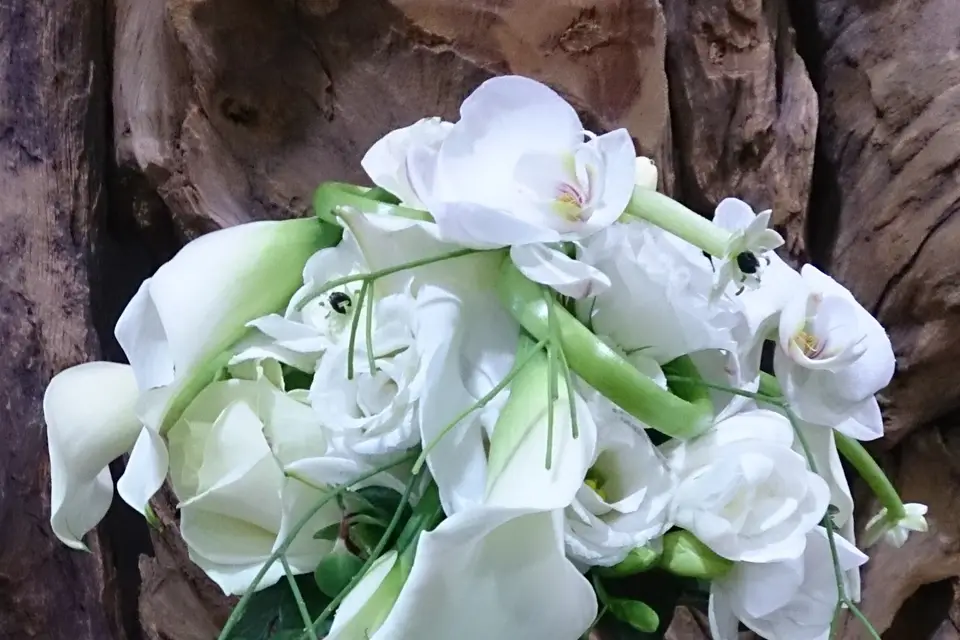 Ambiance Créative — photo 2