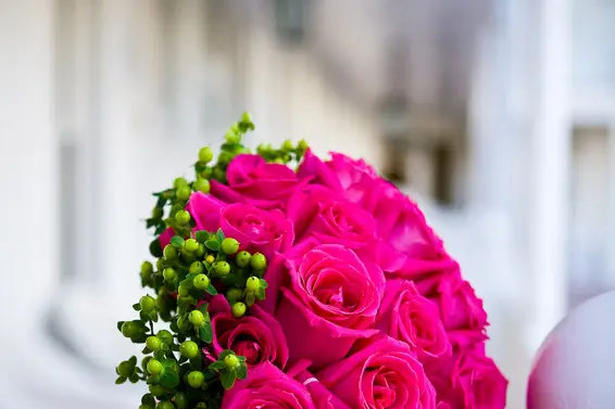 Fées pour Vous — photo 1