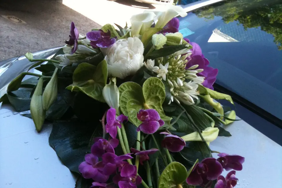 Ambiance Créative — photo 4