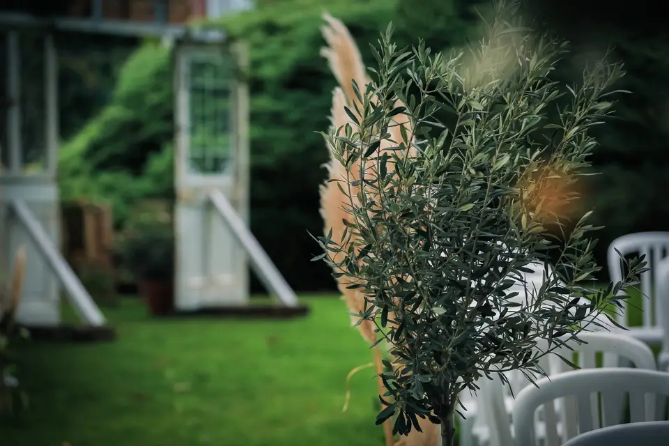 La P'tite Cherry — photo 6