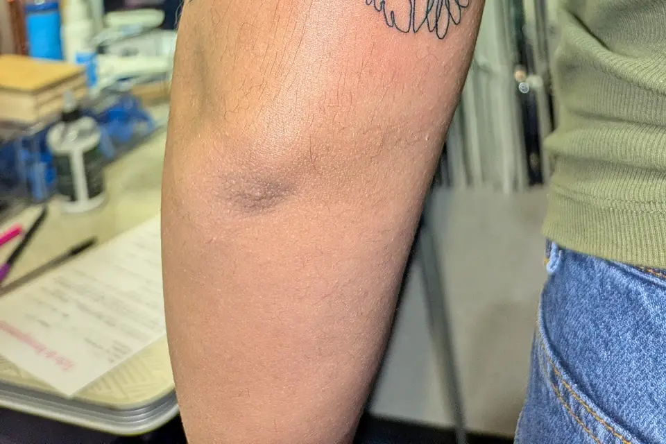 Morihaku — photo 8