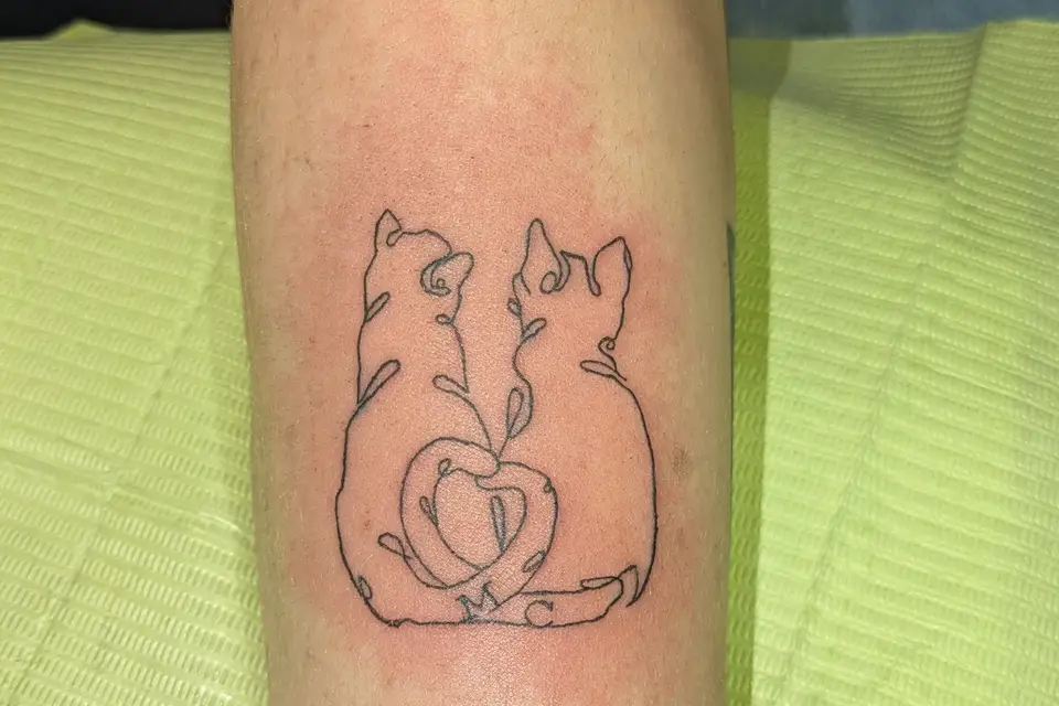 Morihaku — photo 5