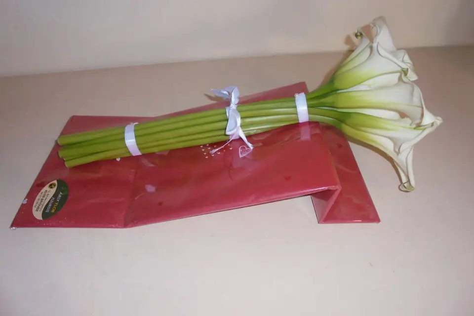 Arlyflor — photo 7