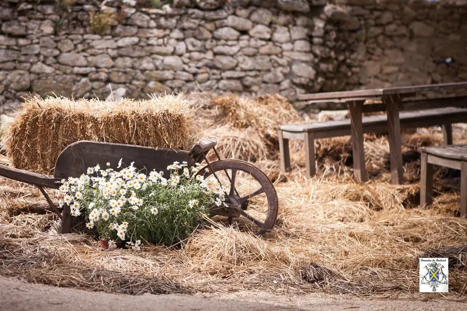 Domaine de Badard — photo 7