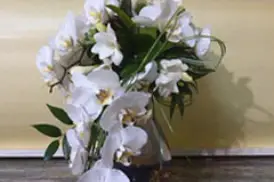 Arlyflor — photo 1