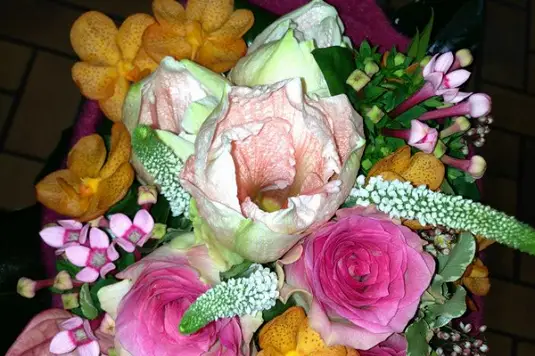 L'Arflor — photo 1