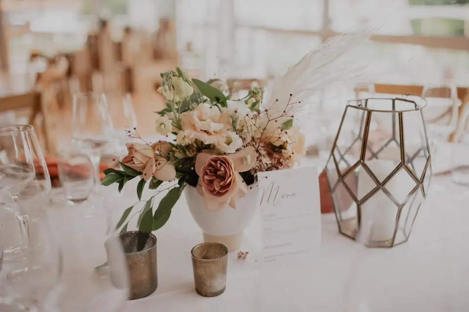 Camellia — photo 7