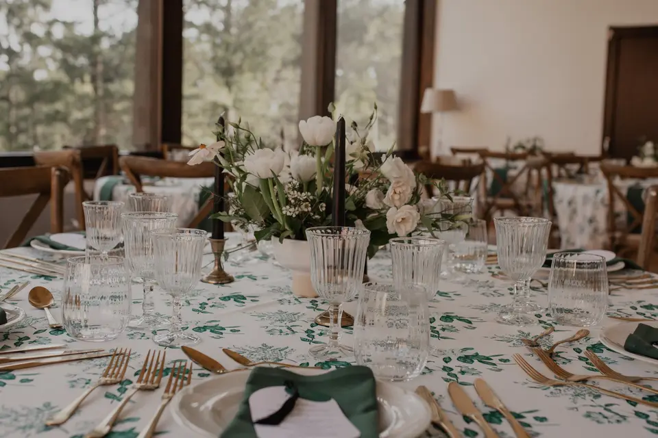 Camellia — photo 5