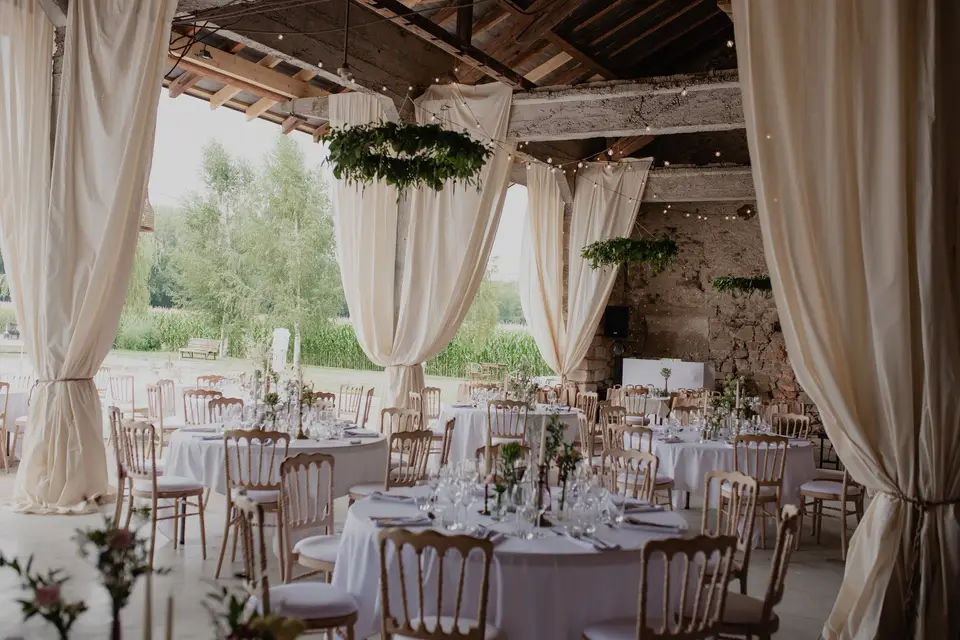 Camellia — photo 8