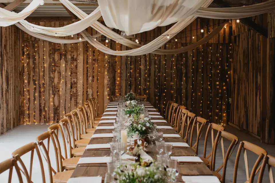 Camellia — photo 2