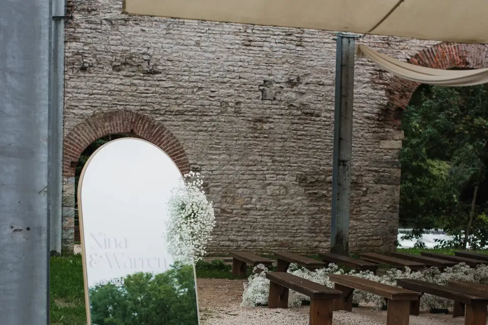 Camellia — photo 3