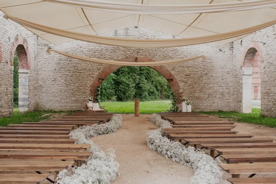 Camellia — photo 4