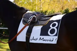 Hippodrome de la Teste de Buch — photo 7