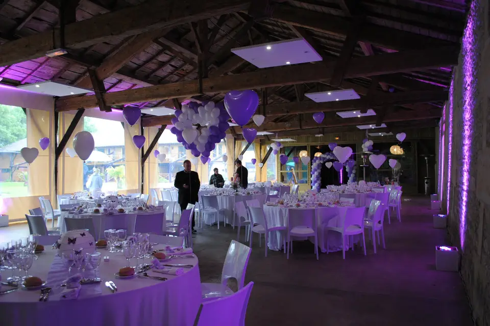 Sonorisation Ola ! — photo 7