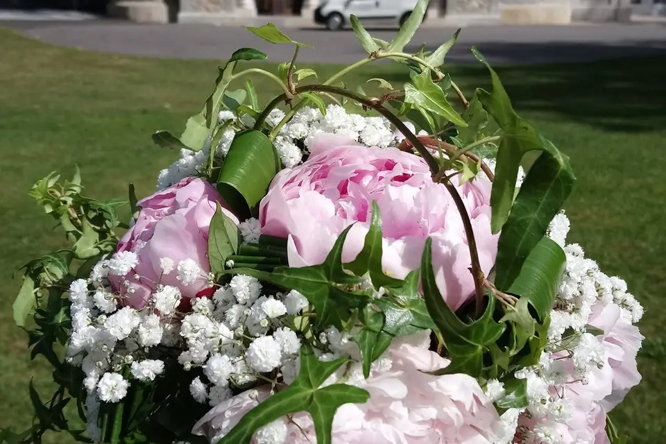 Les Fleurs et Louise... — photo 2