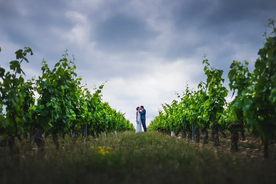 Patrice Mestari Photographies — photo 5