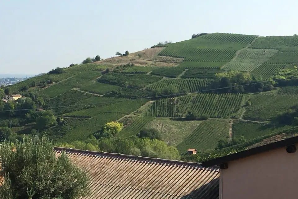 Cave chez Nathalie — photo 4