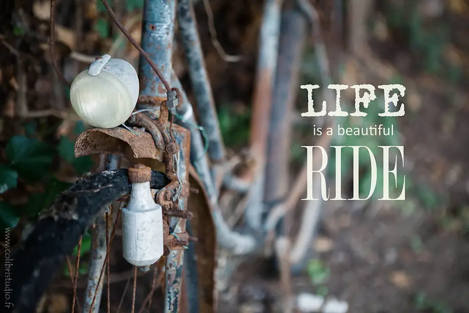 Colibri Studio — photo 8