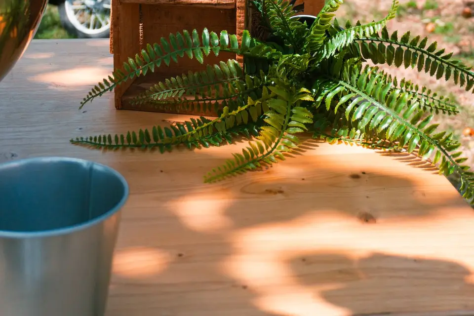 Maison Herrouet — photo 4