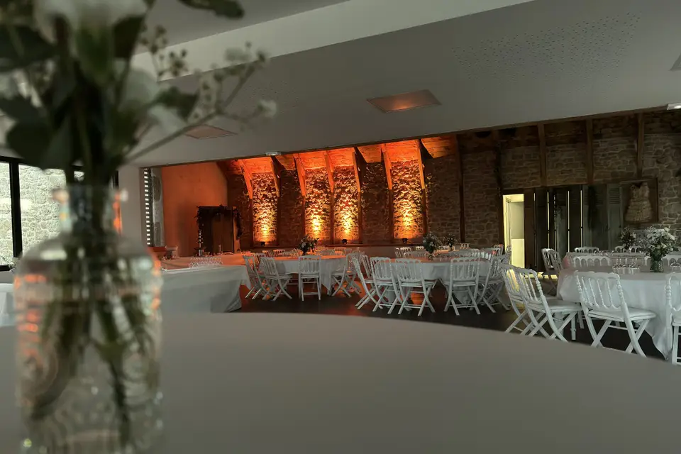 DJ Gold Fox — photo 4