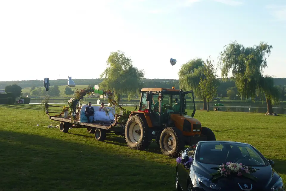 Hôtel Restaurant Saint-Hubert — photo 8
