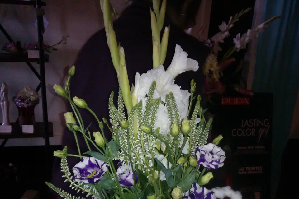 Vert-Tige — photo 6