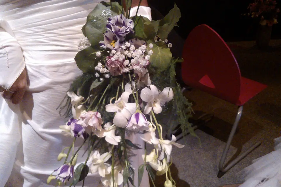 Vert-Tige — photo 4