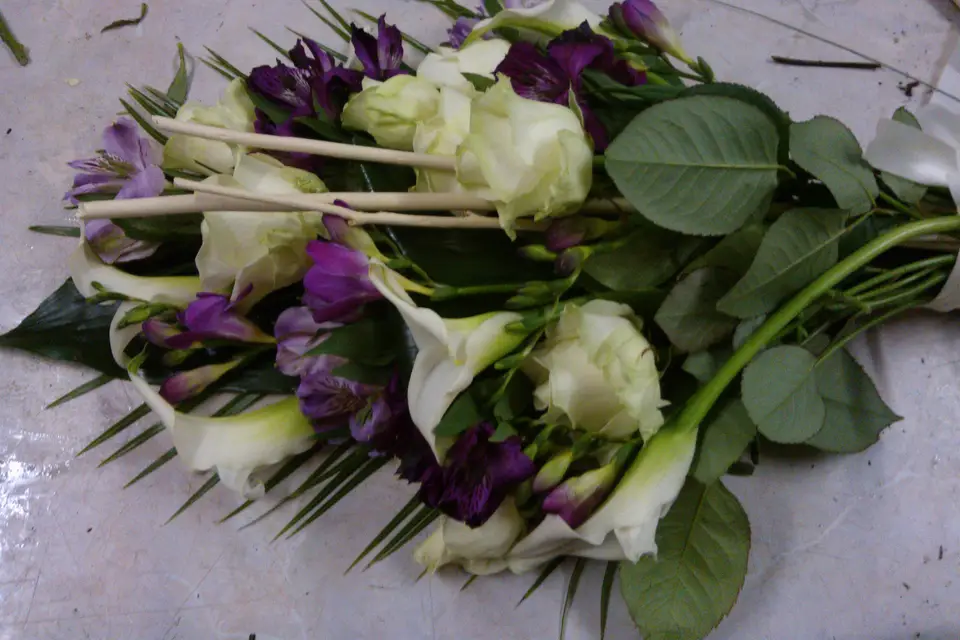 Vert-Tige — photo 7