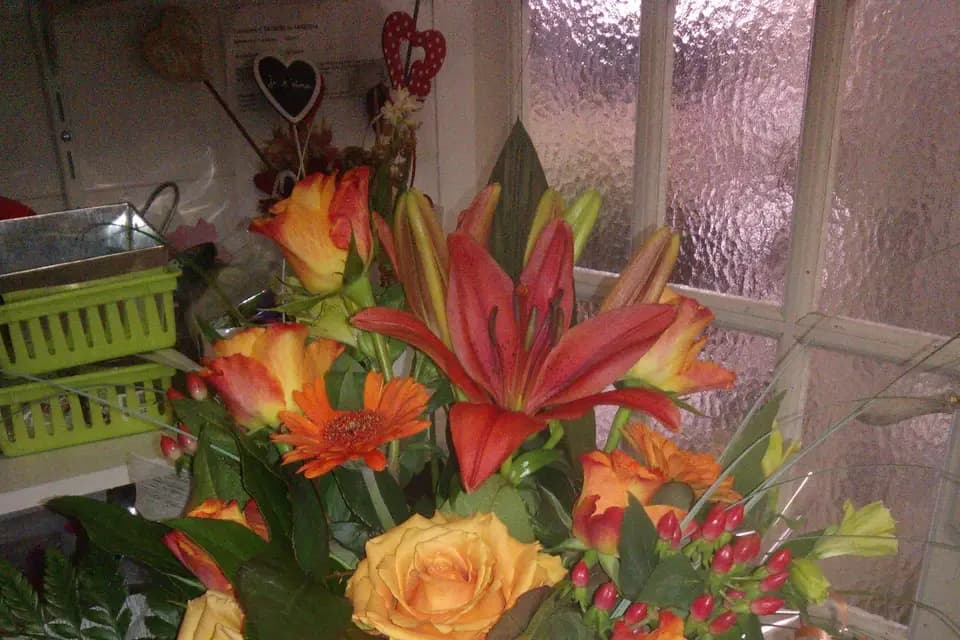 Vert-Tige — photo 8