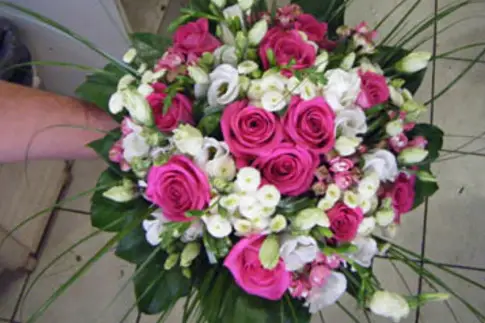 Vert-Tige — photo 2