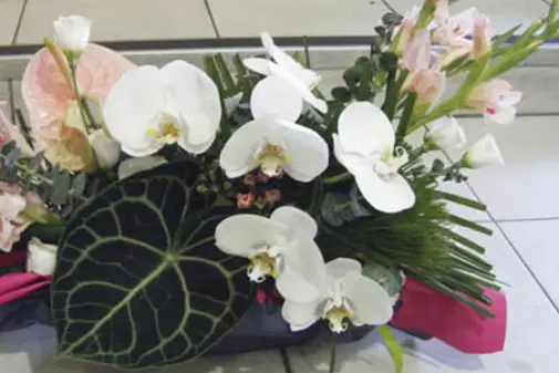 Vert-Tige — photo 1