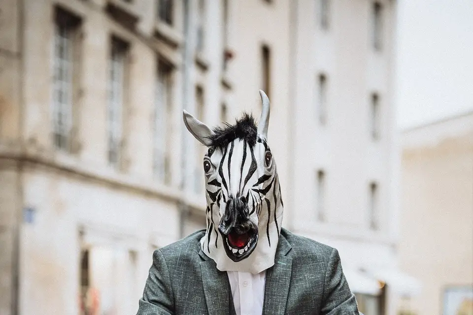 Le Dress Code — photo 4