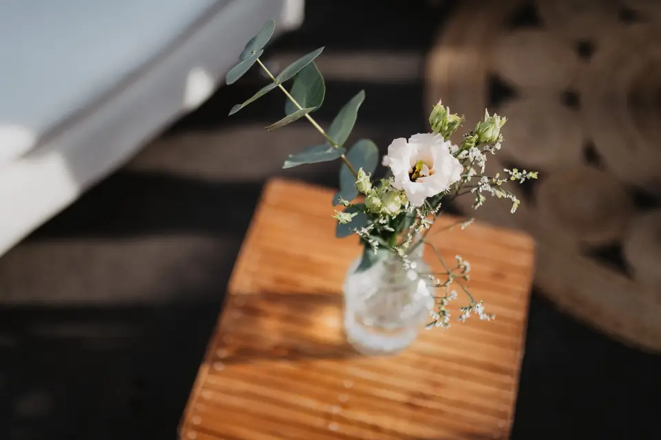 Ava Créa — photo 8